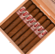 Buy Powstanie Sumatra Gran Toro Online at Small Batch Cigar