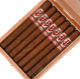 Buy Powstanie Sumatra Churchill Online at Small Batch Cigar