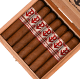 Buy Powstanie Sumatra Petit Robusto Online at Small Batch Cigar