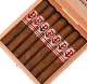 Buy Powstanie Sumatra Gran Robusto Online at Small Batch Cigar