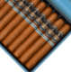 Buy Surpassion Queen of Battle Online at Small Batch Cigar