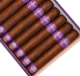 Buy Room 101 The Big Payback Maduro 70s Online at Small Batch Cigar
