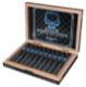 Buy Asylum Signature Series by Tom Lazuka 5 x 50 at Small Batch Cigar