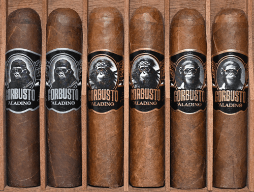 Picture of Aladino Gorbusto Sampler