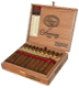Buy Padron 1964 Torpedo Natural Online at Small Batch Cigar