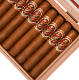 Buy 1916 Tabacalera Eiroa Robusto at Small Batch Cigar