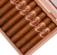 Buy 1916 Tabacalera Eiroa El Gordo at Small Batch Cigar