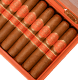Buy H. Upmann Nicaragua AJ Fernandez Sunrise Robusto Online at Small Batch Cigar