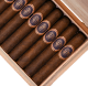 Buy Valacari Astronomia Robusto Online at Small Batch Cigar