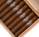 Buy Valacari Nobility Robusto Online at Small Batch Cigar