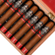 Buy Punch Rare Corojo 25th Anniversary Online at Small Batch Cigar
