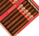 Buy AVO Expresivo Churchill Online at Small Batch Cigar