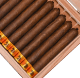 Buy Dunbarton Tobacco & Trust Barba Amarilla 2026 Online at Small Batch Cigar