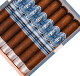 Buy Crowned Heads Moonflower Corona Gorda Online at Small Batch Cigar