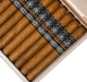 Buy Viva La Vida Connecticut Churchill Online at Small Batch Cigar