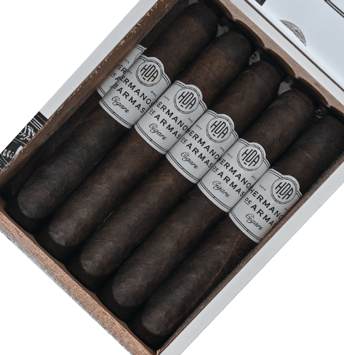 Picture of Hermanos de Armas Veiled Mutiny Robusto