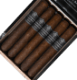 Picture of Hermanos de Armas Cataclysm Toro