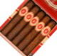 Buy Ceniza Fina Broadleaf Robusto Gordo BP Online at Small Batch Cigar