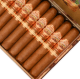 Buy San Lotano Requiem Connecticut Gran Toro Online At Small Batch Cigar