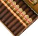 Buy San Lotano Requiem Maduro Gran Toro Online At Small Batch Cigar