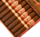 Buy San Lotano The Bull Gordo Online At Small Batch Cigar
