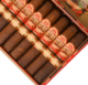 Buy San Lotano The Bull Robusto Online At Small Batch Cigar