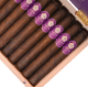 Buy Room101 17th Anniversary Online at Small Batch Cigar