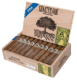 Buy Foundation Charter Oak Connecticut Rothschild Online At Small Batch Cigar