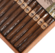 Buy Foundation Charter Oak Broadleaf Lonsdale Online At Small Batch Cigar