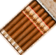 Buy New World Connecticut Churchill by AJ Fernandez Online at Small Batch Cigar