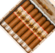 Buy AJ Fernandez New World Connecticut Robusto Online At Small Batch Cigar