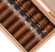 Picture of Bandolero Firecracker