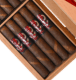 Buy Powstanie SBC26 Online at Small Batch Cigar