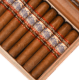 Buy Perdomo Lot 23 Sun Grown Robusto Online At Small Batch Cigar