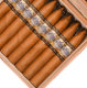 Picture of Perdomo Lot 23 Connecticut Belicoso