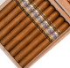 Picture of Perdomo Lot 23 Connecticut Churchill