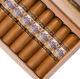 Buy Perdomo Lot 23 Connecticut Gordito Online At Small Batch Cigar
