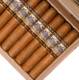 Buy Perdomo Lot 23 Connecticut Robusto Online At Small Batch Cigar