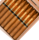 Picture of Perdomo Reserve 10th Anniversary Champagne Torpedo