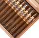 Buy Ashton ESG 23 Year Salute Online At Small Batch Cigar
