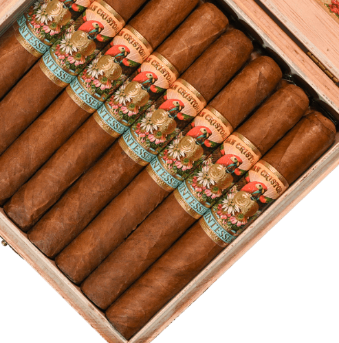 Buy San Cristobal Quintessence Corona Gorda Online At Small Batch Cigar