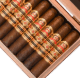 Buy Maximus Double Robusto No. 6 by J.C. Newman Online at Small Batch Cigar