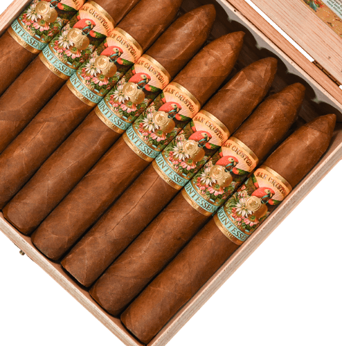 Buy San Cristobal Quintessence Belicoso Online At Small Batch Cigar
