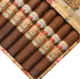 Buy San Cristobal Revelation Prophet Online At Small Batch Cigar