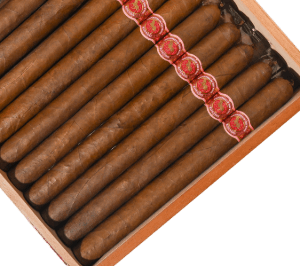 Casdagli Daughters of the Wind Rosado Lonsdale Online at Small Batch Cigar