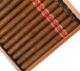 Casdagli Daughters of the Wind Rosado Lonsdale Online at Small Batch Cigar