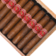 Buy Casdagli Daughters of the Wind Rosado Robusto Online at Small Batch Cigar