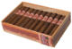 Buy Casdagli Daughters of the Wind Rosado Robusto Online at Small Batch Cigar