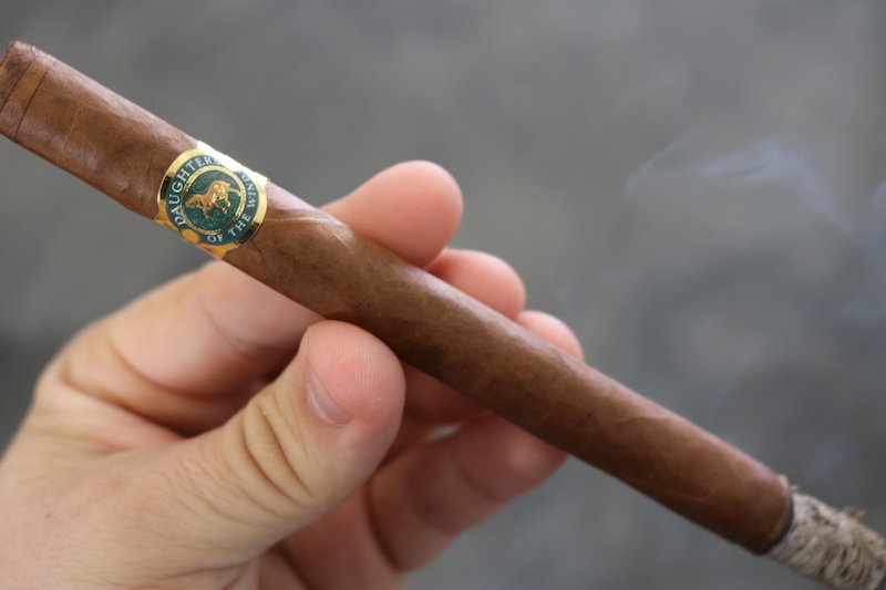 Casdagli Daughters of the Wind Cremello Review