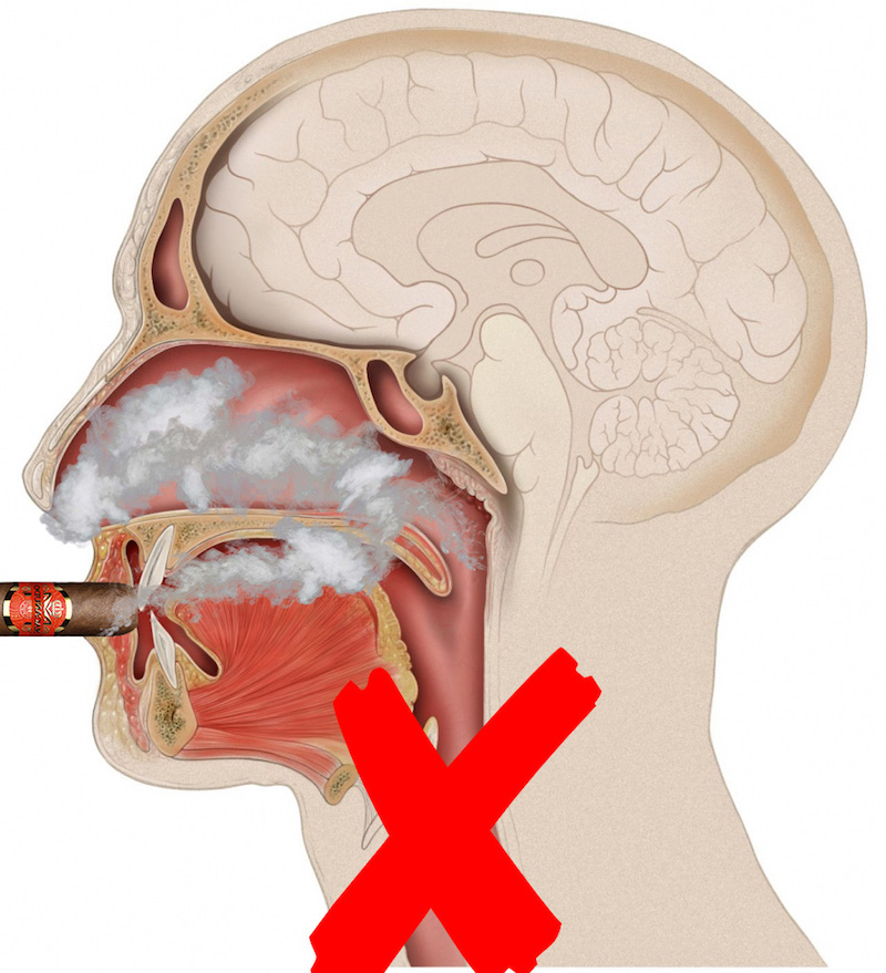 FAQ Can You Inhale Cigar Smoke Why You Shouldn t Inhale Cigars Best 